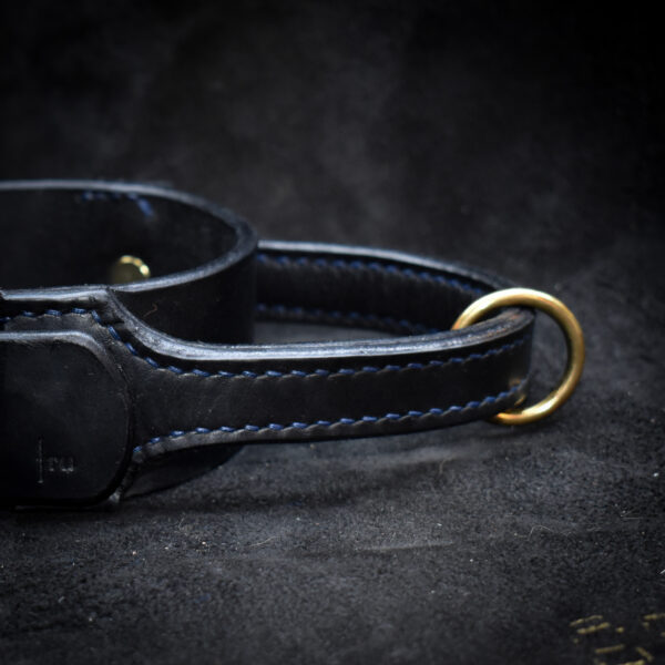 Handsytt hundhalsband i läder med handtag, hetshalsband
